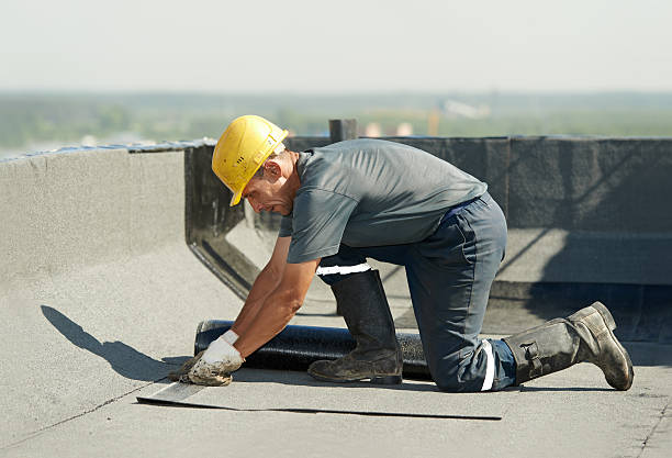 Best Cellulose Insulation  in St Marys, OH