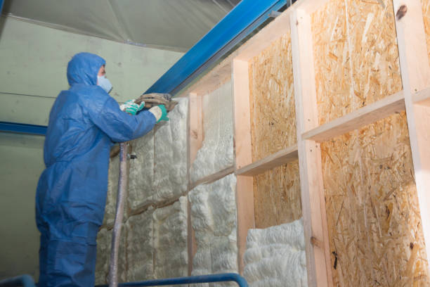 Best Professional Insulation Contractor  in St Marys, OH
